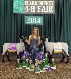 ... county 4 h fairs the news and tribune more clark county blue ribbons