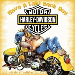 Harley Davidson Motorcycles Pictures / Things that make you go hmmm...