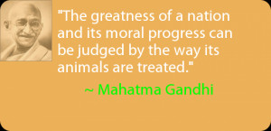 Gandhi Quotes Animals Mahatma gandhi