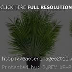 Palm sunday 2015 quotes and sayings