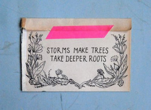 storms make trees take deeper roots