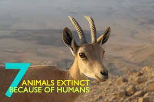 Most Dangerous Extinct Animals