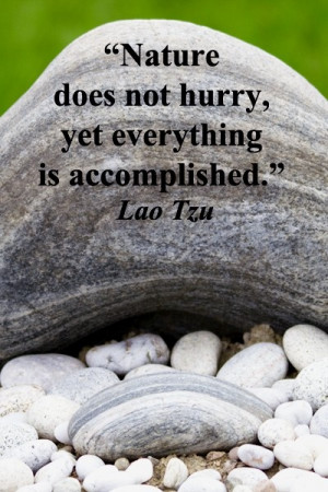 ... article/wise-quotes-to-inspire-learning-and-springboard-action?cid=rss