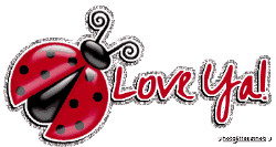 love-ya-ladybug.gif love bug image by mrs_sarge2005