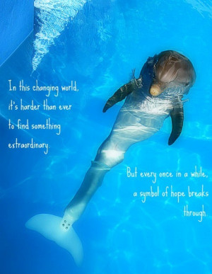 Dolphin Tale ☆ Winter ~ Symbol of Hope ☆