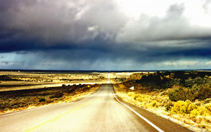 Até no deserto chove... Foto: Phillip Capper