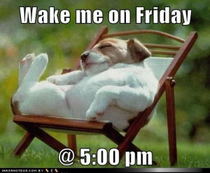 funny-dog-pictures-wake-me-on-friday-pm.jpg