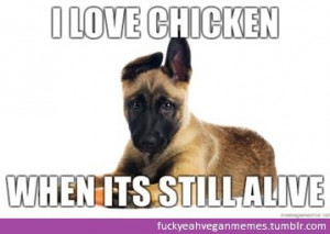 morally superior vegan dog #vegan #memeDogs Vegan, Superior Vegan ...