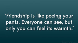 Friendship is like peeing your pants. Everyone can see, but only you ...