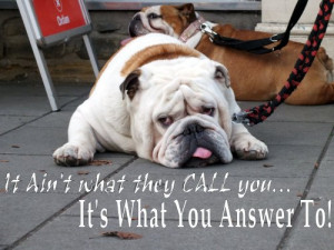 Inspirational Quote – It Ain’t What They Call You – Sad Dog