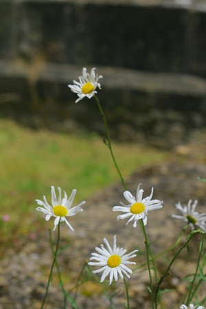 Enjoyed this? Get blog posts via email: