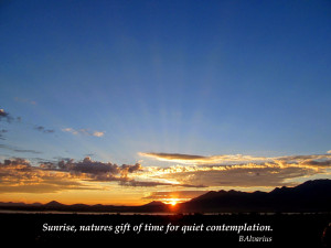 Blogging from the Boot Heel