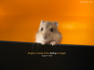 Motivational Messages HD Wallpaper 19