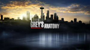 greys-anatomy-quotes.jpg