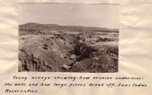 Caption: Young arroyo showing how erosion undermines the walls and how ...