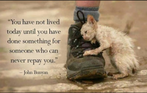 You have not lived today until you have done something for someone who ...