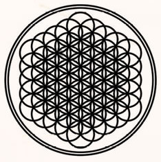 Real Wolf Dragon Hybrid · Hercules Statue Back · Anushka Hot Navel ...