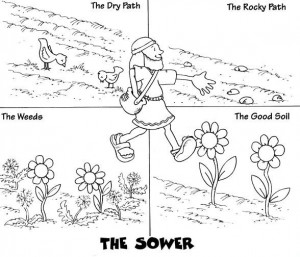Parable of Sower coloring page from Matthew chapter 13: Messy Church ...