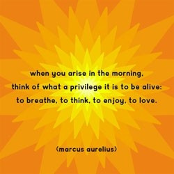 La Dolce Vita: This Weeks Quote