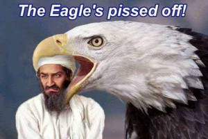 Share Your Favorite Bin Laden Joke.....
