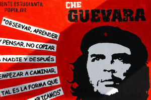 Che Guevara Quotes Love
