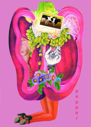 Miss Red Pepper by Janice Taylor, Self-Help/Weight Loss Artist