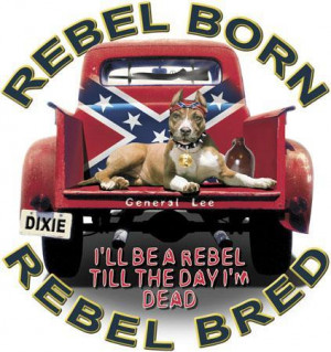 Rebel Flags With Sayings Redneck Rebel Flag With Saying