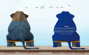 Animals quotes funny elephants wallpaper