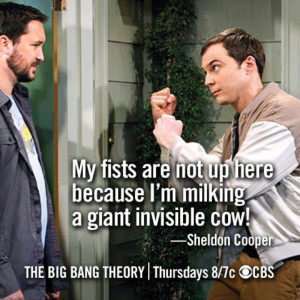 The Big Bang Theory - Sheldon and Will Wheaton