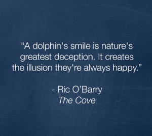 end dolphin captivity