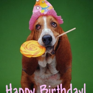 Happy birthday wishes with dog