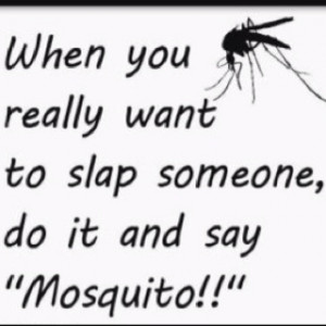 Damn those mosquitoes!!! ;)
