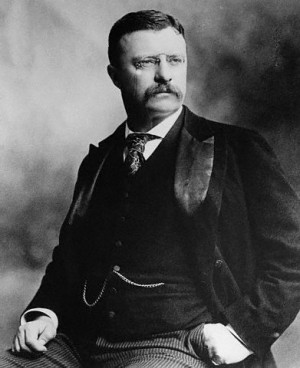 Teddyroosevelt.jpg
