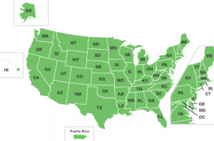 Insurance 2014 Volkswagen Beetle GSR Specs and Price Cruise Insurance ...