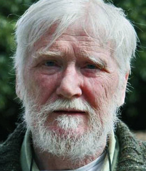 Dermot Healy