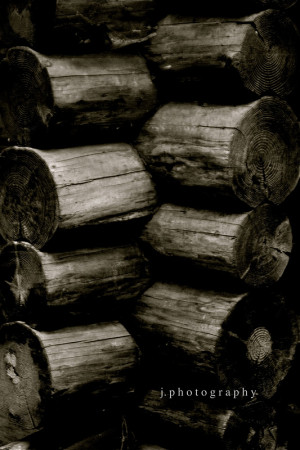 Not Quite Wordless) Wednesday: Now is Now