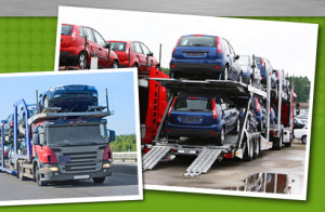 Our Auto Transport Quote support is totally free and you can post your ...