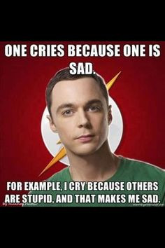 sheldon cooper more smart people sheldon cooper awesome quotes big ...