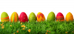 Free Easter egg hunt (prize for all entrants) Free Bouncy castle Free ...