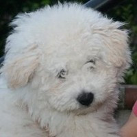 sure I passed on some things that will probably be successful.