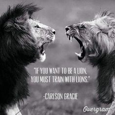 To be a lion, you must train with lions - Sports motivation More