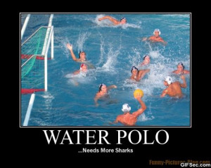 Water Polo needs more shark