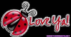 Ladybug Love Ya Tumblr gif