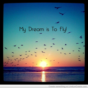 cute, fly dream, love, my dream is to fly, pretty, quote, quotes