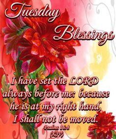 PSALM 16:8 ~~~~~ GOOD MORNING EVERYONE!! HAVE A MOST BLESSED ...