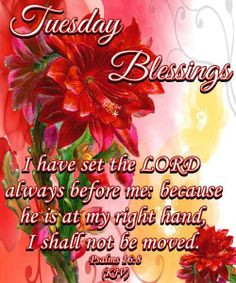 PSALM 16:8 ~~~~~ GOOD MORNING EVERYONE!! HAVE A MOST BLESSED ...