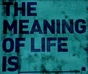 the meaning of life is boldness quote Funny Quotes Meaning Of Life