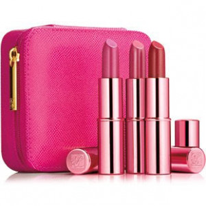 MAKEUP JUNKIE: Think Pink: EVELYN LAUDER Lip Color Collection and Pink ...