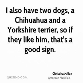 Chihuahua Quotes