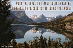 john muir more inspiration nature comforters quotes muir quotes all of ...